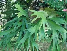 Foto 3